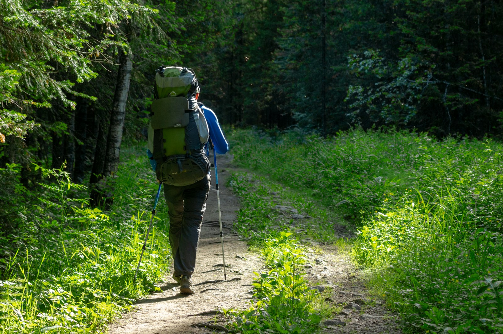 man in green shirt and brown pants with black backpack walking on dirt road between green